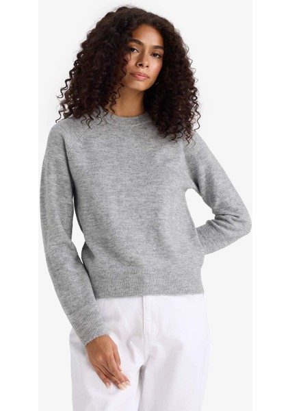 Regular Fit Bisiklet Yaka Basic Düz Soft Touch Yumuşak Triko Kazak D8678AX25WN