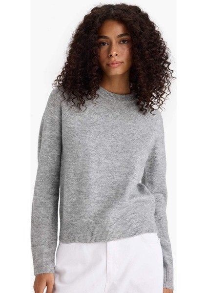 Regular Fit Bisiklet Yaka Basic Düz Soft Touch Yumuşak Triko Kazak D8678AX25WN