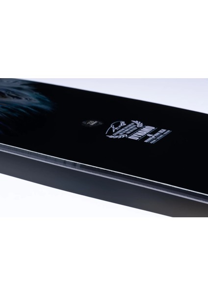 Dynamo 2025 Snowboard fiyatları