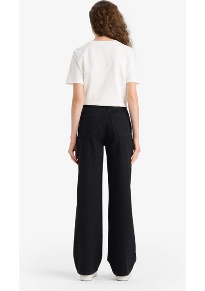 90's Wide Leg Yüksek Bel Uzun Jean Pantolon E9125AX25AU