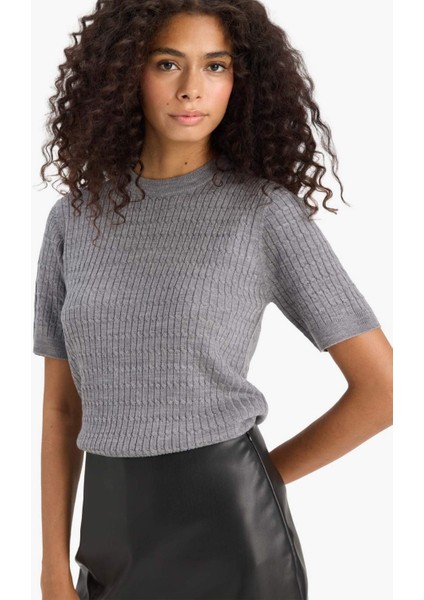 Regular Fit Bisiklet Yaka Kısa Kollu Triko Kazak D3306AX25AU