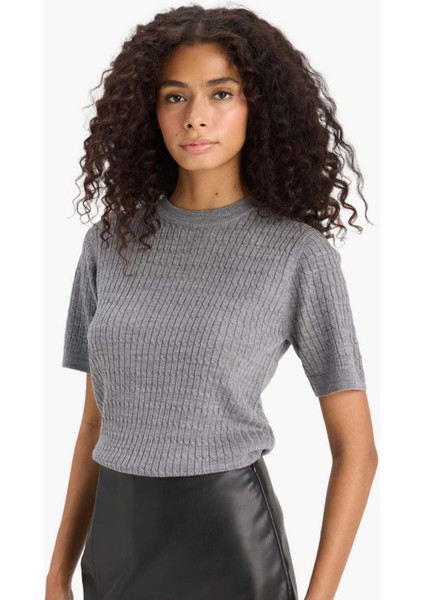 Regular Fit Bisiklet Yaka Kısa Kollu Triko Kazak D3306AX25AU