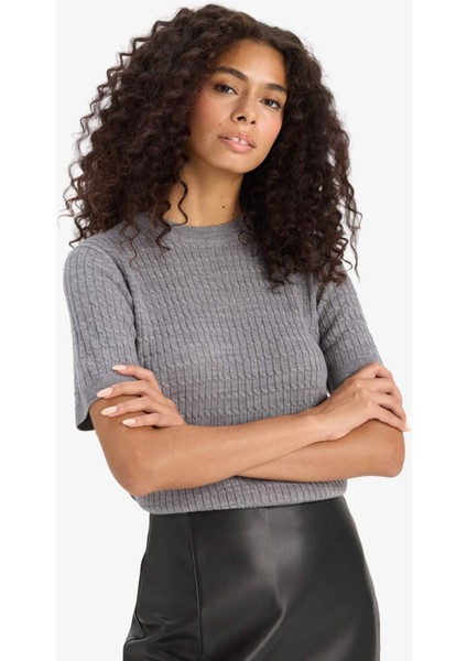 Regular Fit Bisiklet Yaka Kısa Kollu Triko Kazak D3306AX25AU