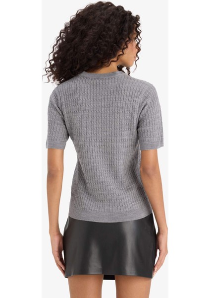 Regular Fit Bisiklet Yaka Kısa Kollu Triko Kazak D3306AX25AU