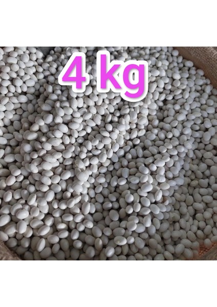 İspir Fasulye 4 kg (Yerli Mahsul )