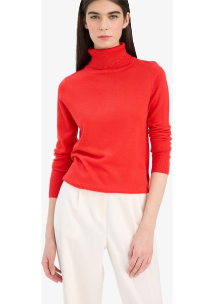 Regular Fit Yumuşak Dokulu Balıkçı Yaka Basic Düz Triko Kazak H1651AZ25WN