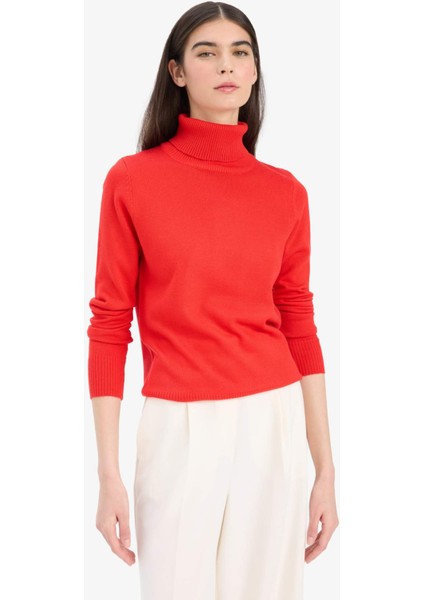 Regular Fit Yumuşak Dokulu Balıkçı Yaka Basic Düz Triko Kazak H1651AZ25WN