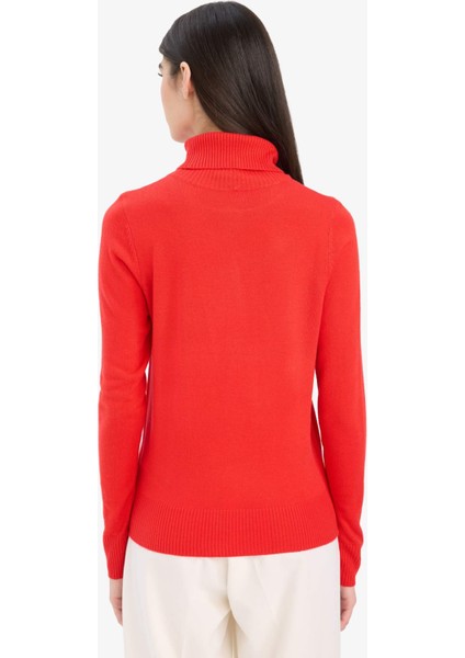 Regular Fit Yumuşak Dokulu Balıkçı Yaka Basic Düz Triko Kazak H1651AZ25WN