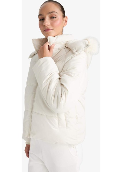 Rüzgar Geçirmez Regular Fit Kapüşonlu Mont F2819AX25WN