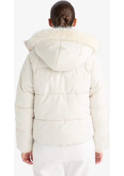 Rüzgar Geçirmez Regular Fit Kapüşonlu Mont F2819AX25WN