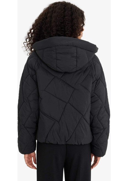 Su Geçirmez Regular Fit Kapüşonlu Mont F2803AX25WN