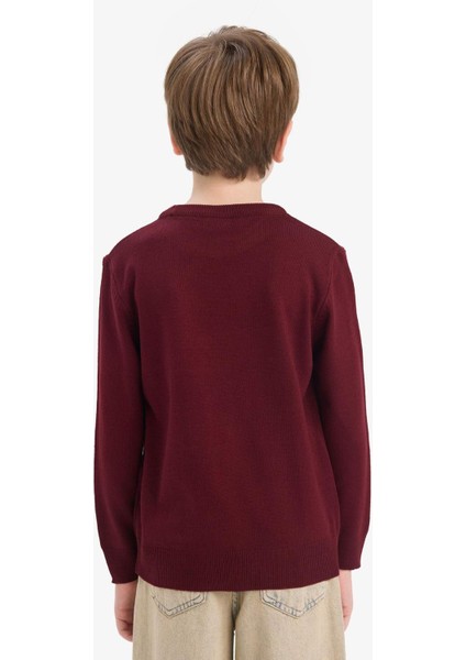 Erkek Çocuk Bisiklet Yaka Triko Kazak A4992A825WN