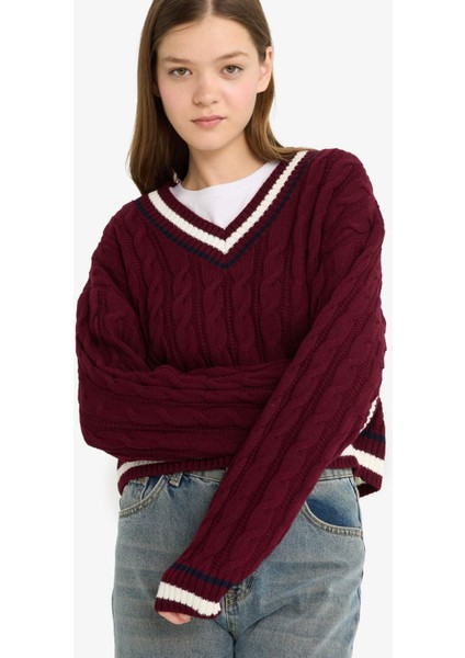 Regular Fit V Yaka Saç Örgülü Triko Kazak C7321AX25WN