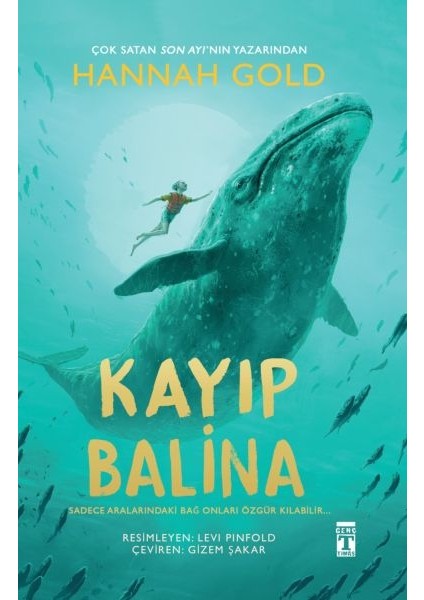 Kayıp Balina