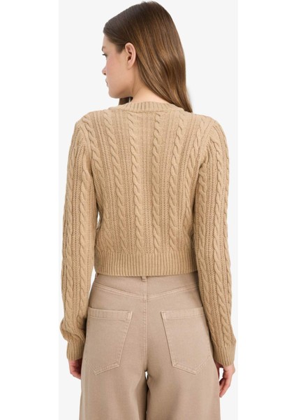 Regular Fit Bisiklet Yaka Düğmeli Triko Hırka E8237AX25WN