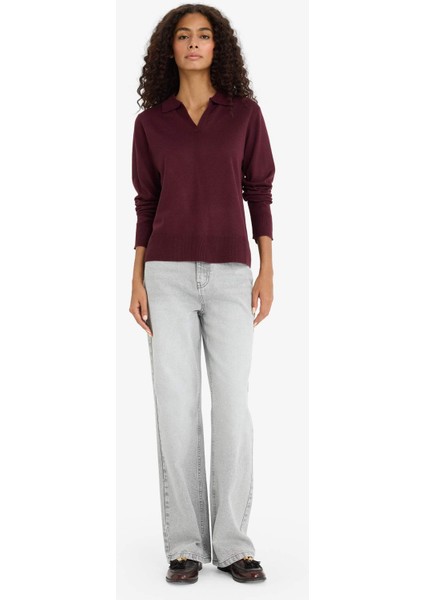 Regular Fit Polo Yaka Triko Kazak