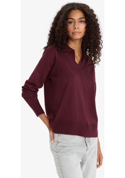 Regular Fit Polo Yaka Triko Kazak