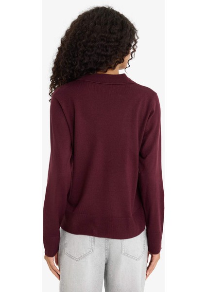 Regular Fit Polo Yaka Triko Kazak