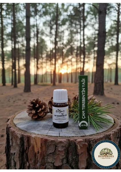 Organik Çam Terebentin Yağı 20 ml Şişede