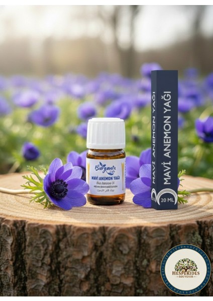Organik Mavi Anemon Yağı 20 ml Şişede