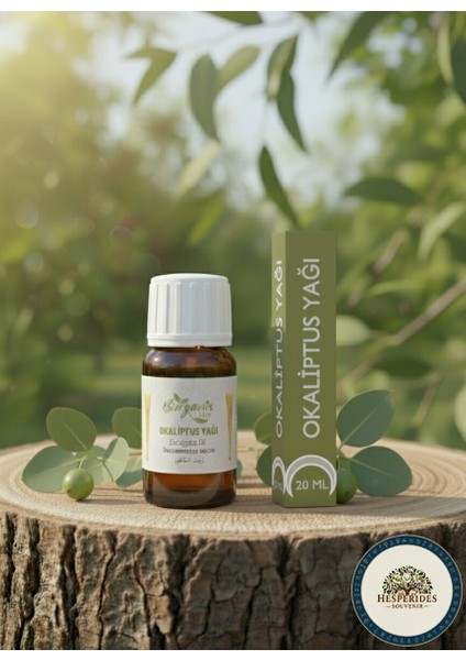 Organik Okaliptus Yağı 20 ml Şişede