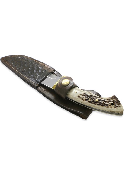 Premium Kutulu Geyik Boynuzu Saplı Isme Özel 4116 Kalite Paslanmaz Çelik Outdoor Avcı ve Kamp Bıçağı