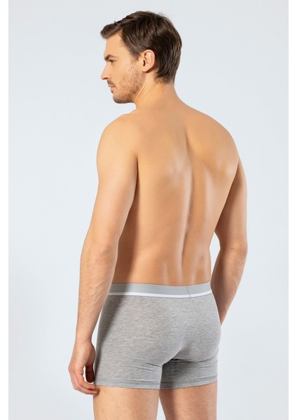 Erkek Likralı Boxer 1315/GRI fiyatları