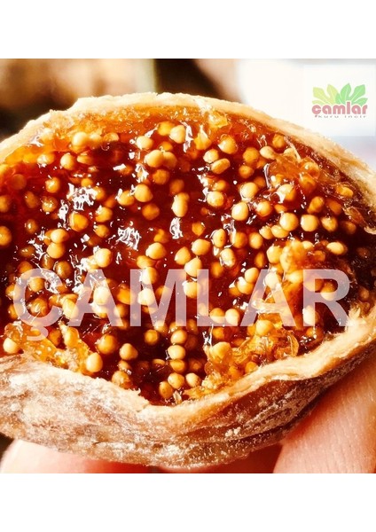 Germencik Dağ Inciri Dizimli Kuru Incir 2 Kg modelleri