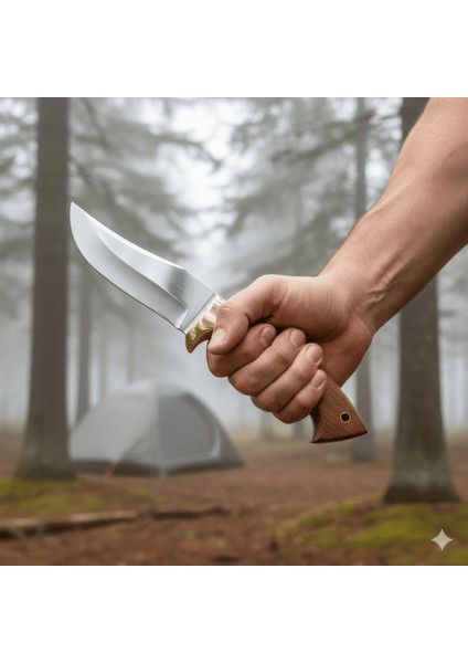 Premium Kutulu Kök Ceviz Ağacı Saplı Isme Özel 4116 Kalite Paslanmaz Çelik Outdoor Avcı Kamp Bıçağı fiyatları