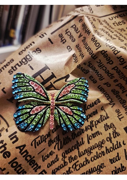 Gökkuşağı Kanadı Kelebek Broş fiyatları