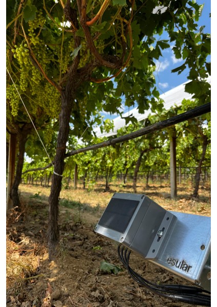 Kablosuz Pilli Toprak Nem Sensörü