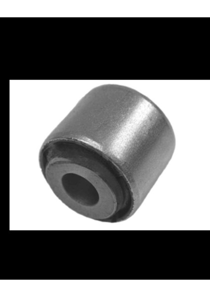 Mercedes Aks Taşıyıcı (Akson) Burcu W211 Arka