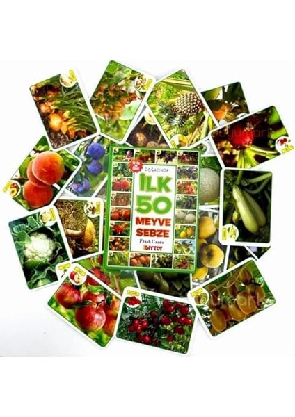 Oyuncak Minik Bebeğimin Ilk 50 Meyve Sebze Kartları Kartlar Eğitici Kitap Anaokulu ve Kreş Seviyesi Için Uygun
