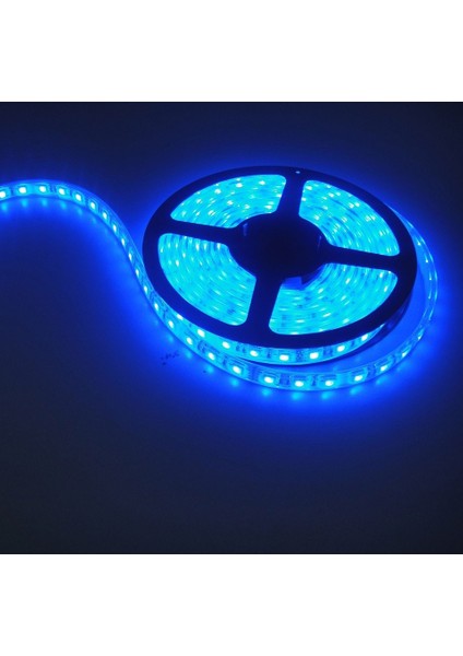 12V 4040 Iç Mekan Mavi Işık Şerit LED 10 Metre