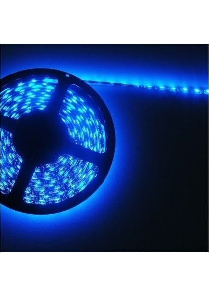 12V 4040 Iç Mekan Mavi Işık Şerit LED 5 Metre fiyatları