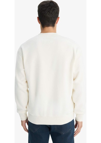 Relax Fit Bisiklet Yaka Polar Sweatshirt F3685AX25WN