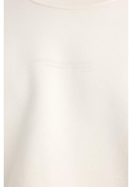 Boxy Fit Bisiklet Yaka İçi Yumuşak Tüylü Baskılı Sweatshirt X8282AZ25AU