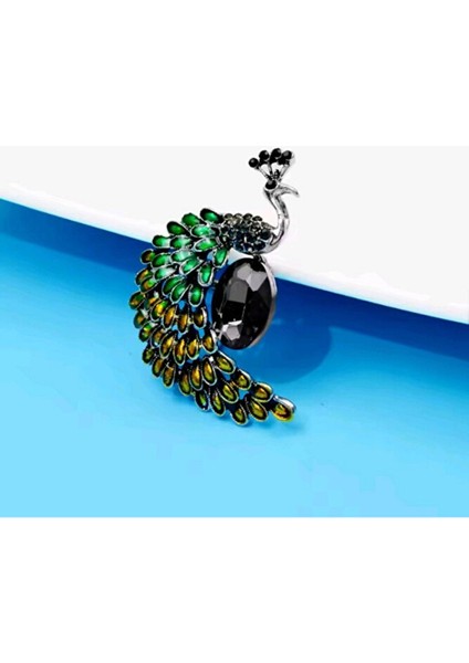 Asil Tavuskuşu Broş modelleri