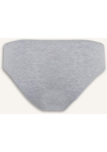 3'lü Hipster Külot F3060AX25AU