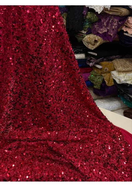 Pullu Payet Kumaş (Tül Üzerine Pul ve Boncuk Görünümlü )