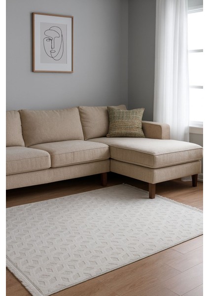 Geometrik Oyma Kabartma Desenli Pamuk Dokuma Tabanlı Lüks Makina Halısı