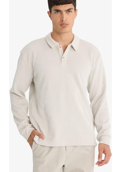 Regular Fit Polo Yaka Sweatshirt F3317AX25WN