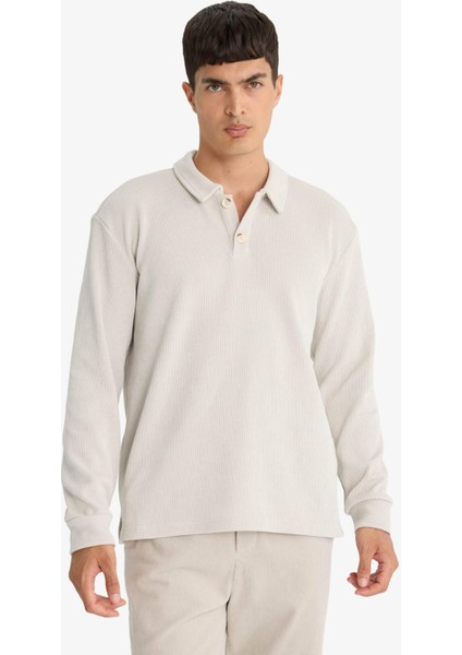 Regular Fit Polo Yaka Sweatshirt F3317AX25WN