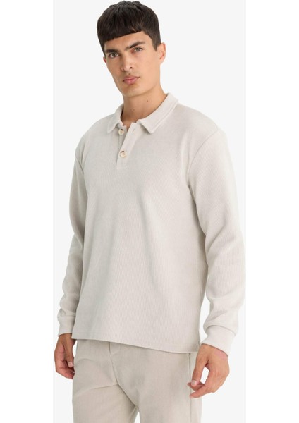 Regular Fit Polo Yaka Sweatshirt F3317AX25WN