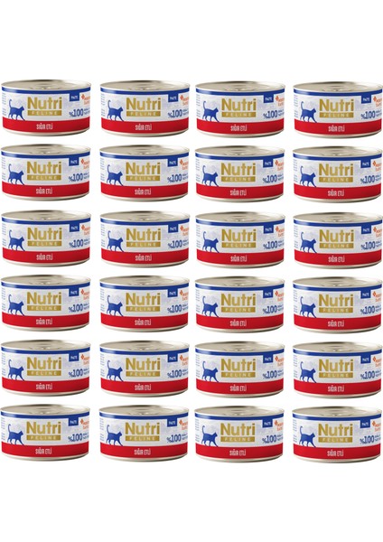 Sığır Etli Pate Tahılsız Yetişkin Kedi Konservesi 70 Gr. x 24 Adet