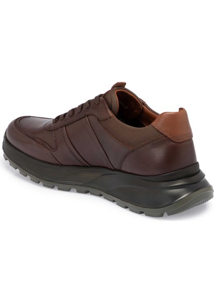 Kahve Hakiki Deri Erkek Sneaker - E24S1AY57056-A24