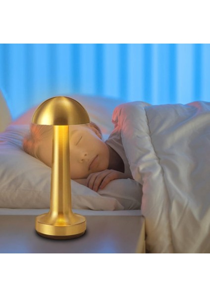 Dekoratif LED Masa Lambası - Modern, Kablosuz ve Ambiyans Aydınlatması fiyatları