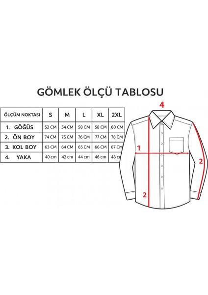 Erkek Beyaz/mavi Slim Fit Gömlek – Plus Scorpion, Ofis & Günlük Şık Kombin, Ütü Gerektirmeyen