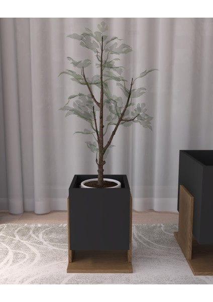 Ahşap Dekoratif Saksılık | 30 x 50 Boyutunda | %100 Mdf fırsatları