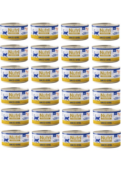 Tavuk Etli ve Peynirli Pate Tahılsız Yetişkin Kedi Maması 70 Gr. x 24 Adet